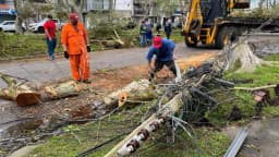 Equipes da prefeitura removem estragos de árvore após temporal no Rio Grande do Sul