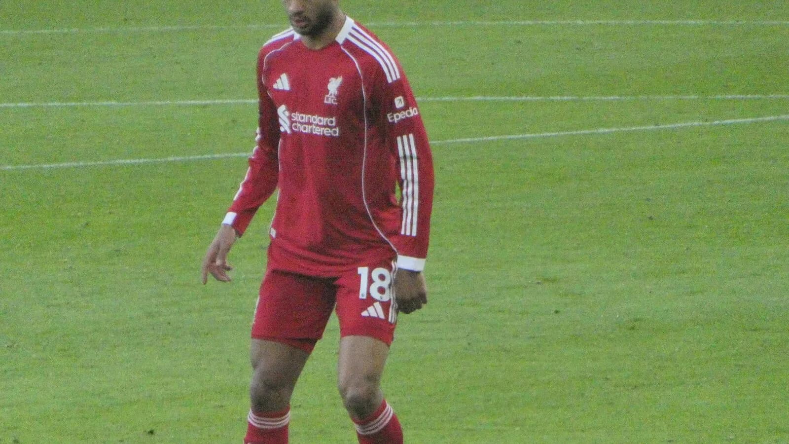 Cody Gakpo, atacante da Holanda, em campo durante partida