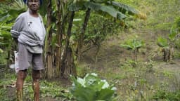 Trabalhador rural em meio a plantação, tema ligado ao Censo Agropecuário do IBGE