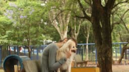 Tutora com cachorro em parque público, cena do universo pet que move o negócio da Petz
