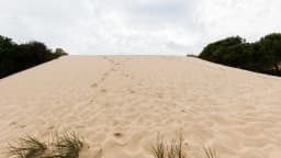 Duna de areia no Parque Nacional de Doñana, na Espanha, sem vegetação visível