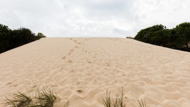 Duna de areia no Parque Nacional de Doñana, na Espanha, sem vegetação visível