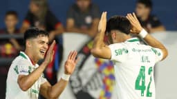 Jogadores do Palmeiras comemoram gol em jogo do Brasileirão
