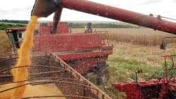 Colheita de grãos sendo carregada em caminhão, foto de arquivo ilustrativa do agronegócio