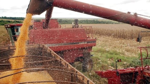 Colheita de grãos sendo carregada em caminhão, foto de arquivo ilustrativa do agronegócio