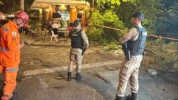 Bombeiro e policiais militares diante da árvore caída sobre a Rua Alvarenga Peixoto, em Belo Horizonte
