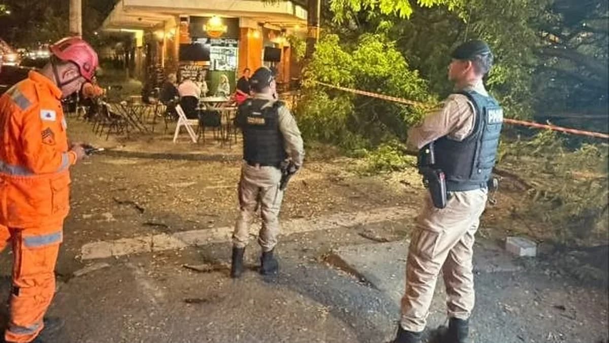 Bombeiro e policiais militares diante da árvore caída sobre a Rua Alvarenga Peixoto, em Belo Horizonte