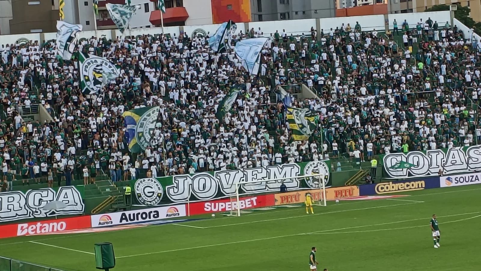 Torcida e jogadores em campo no Estádio Hailé Pinheiro, a Serrinha, em Goiânia