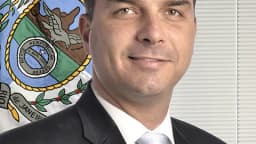 Retrato oficial do senador Flávio Bolsonaro (PL-RJ)