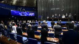 Plenário do Senado Federal lotado durante sessão especial em homenagem ao Dia do Contabilista, com parlamentares e convidados em pé