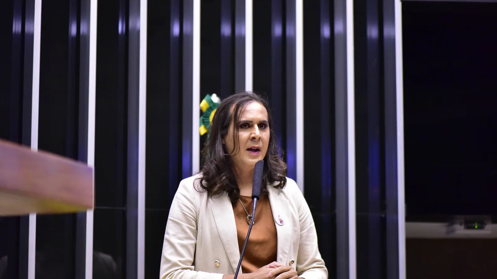 Deputada federal Duda Salabert discursa no plenário da Câmara dos Deputados