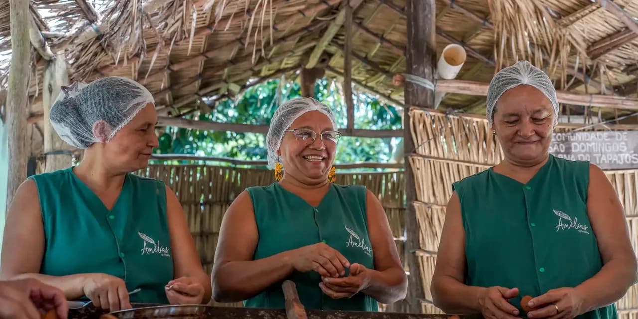 Imagem ilustrativa: Biocosméticos unem ciência e tradições ribeirinhas no Oeste do Pará  — Assuntos: Sebrae, Tapajós, Pará, turismo comunitário, Bioeconomia