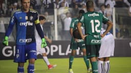 Lance de jogo entre Santos e Palmeiras, com goleiro do Palmeiras e jogador do Santos de número 12 em campo