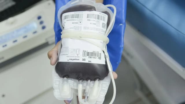 Mão segura bolsa de sangue para transfusão em ambiente hospitalar (foto de arquivo)