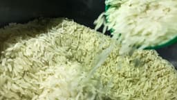 Arroz em casca sendo despejado em recipiente