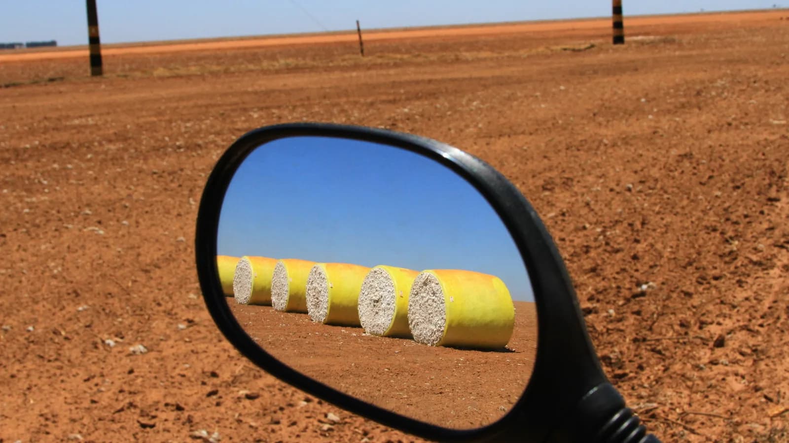 Fardos de algodão colhidos em plantação no oeste da Bahia, uma das regiões produtoras afetadas por eventos climáticos
