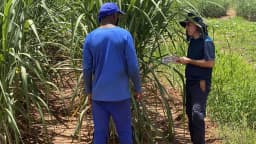 Fiscal conversa com trabalhador rural em meio a plantação durante ação de fiscalização (imagem de arquivo)
