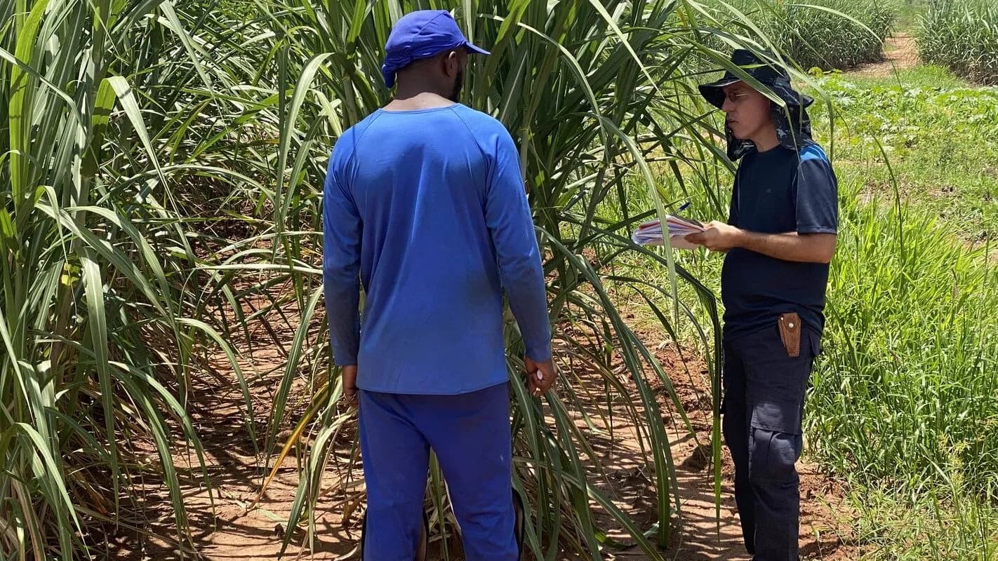 Fiscal conversa com trabalhador rural em meio a plantação durante ação de fiscalização (imagem de arquivo)