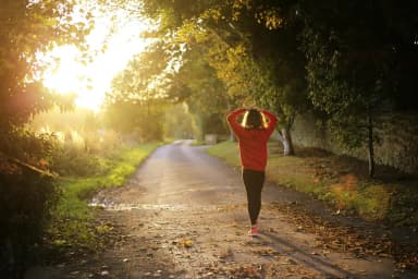 Imagem ilustrativa: walking, fitness, girl, dawn, fall, outdoors, pathway, recreation, trees, brown fitness, brown tree, nature, brown sunset, brown walking, brown workout