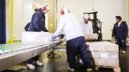 Trabalhadores embalam caixas de frango para exportação em frigorífico brasileiro