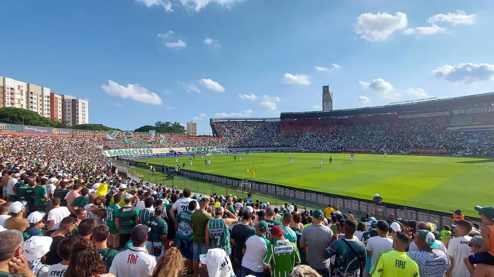 Torcida do Palmeiras lota arquibancada em estádio durante jogo, com o time em campo ao fundo