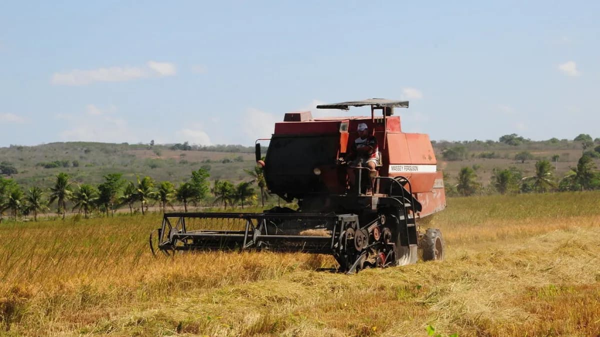 Colheita mecanizada de grãos em lavoura no Brasil