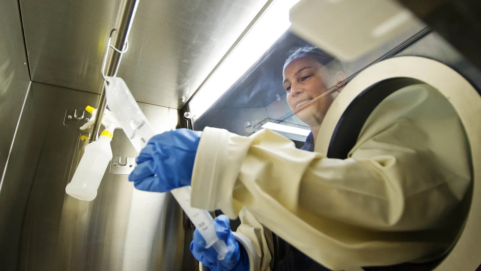 Farmacêutica com luvas prepara bolsa de soro intravenoso dentro de capela estéril, foto de arquivo