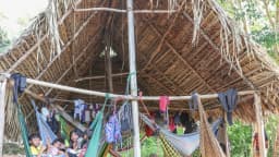 Indígenas do povo Parakanã em terra indígena no Pará