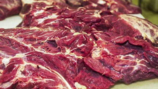 Cortes de carne bovina sobre bancada