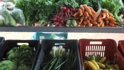 Banca de feira livre com legumes e verduras variados expostos para venda