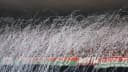 Torcida do Fluminense com serpentinas no Maracanã