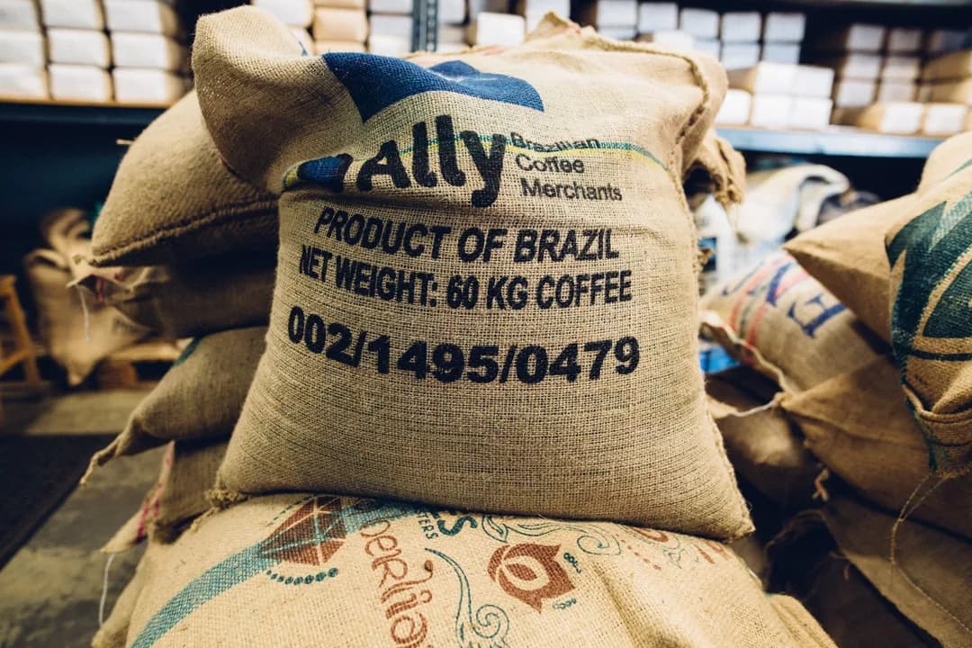 Imagem ilustrativa: Café brasileiro registra queda de 15,7% nas exportações na safra 2025/26, aponta Cecafé