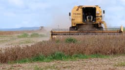 Colheitadeira em plantação de soja no Mato Grosso, foto de arquivo