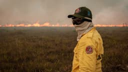 Brigadista observa frente de fogo durante ação de combate a incêndio florestal no Amazonas (foto de arquivo)