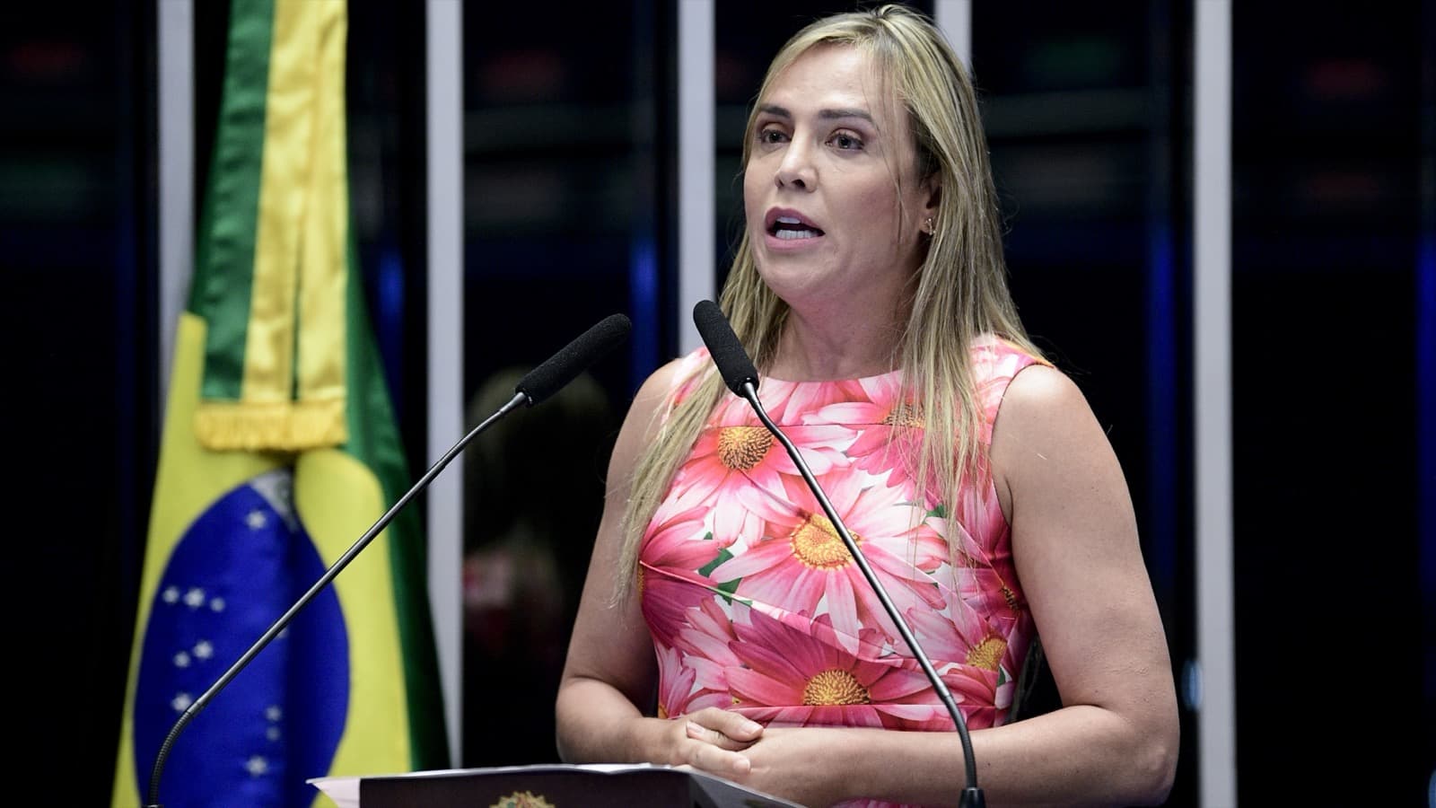Celina Leão discursa à tribuna do Congresso Nacional, foto de arquivo de 2022