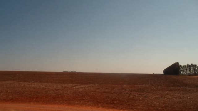 Lavoura de soja plantada em Vilhena, Rondônia