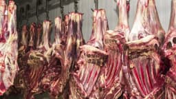 Carcaças de carne bovina penduradas em frigorífico brasileiro