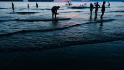 Banhistas na praia de Santos (SP) ao entardecer, com navio ao fundo