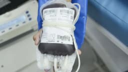 Bolsa de sangue em equipamento hospitalar, usada como foto de contexto sobre transfusão