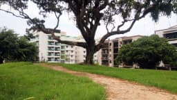 Praça com árvore e prédios no centro de Angra dos Reis, no Rio de Janeiro