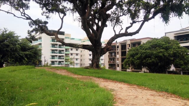 Praça com árvore e prédios no centro de Angra dos Reis, no Rio de Janeiro