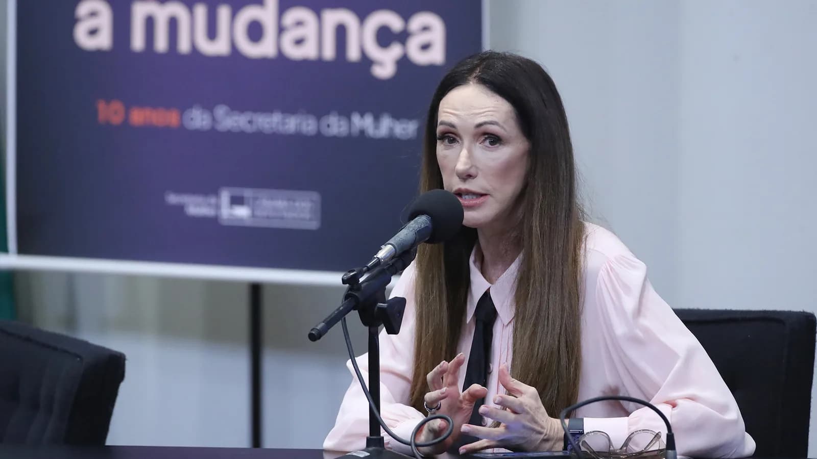Cila Schulman, CEO do Instituto Ideia, fala em congresso sobre comunicação política