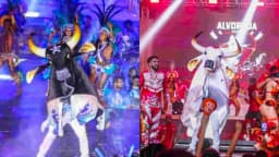Boi Bumbá se apresenta no Festival de Parintins, no Amazonas, com dançarinos e público