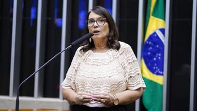 A deputada federal Bia Kicis discursa na tribuna da Câmara dos Deputados, com a bandeira do Brasil ao fundo; imagem de arquivo