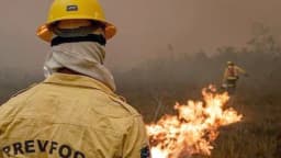 Brigadista de combate a incêndios florestais observa fogo em vegetação, de costas, usando capacete e uniforme do Prevfogo