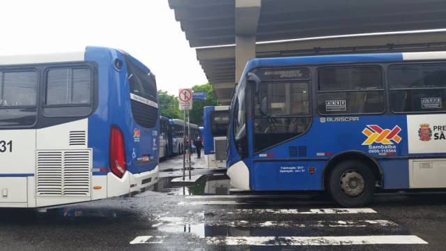 Ônibus municipais de São Paulo estacionados lado a lado em um terminal