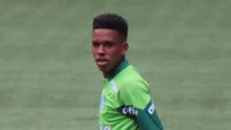 Estêvão aparece em campo pelo Palmeiras em foto de arquivo