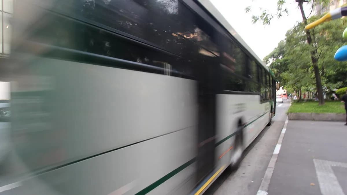 Ônibus urbano em movimento em rua de São Paulo
