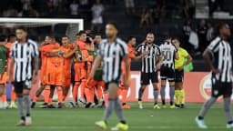Jogadores do Botafogo comemoram em campo durante partida (foto de arquivo, 2026)