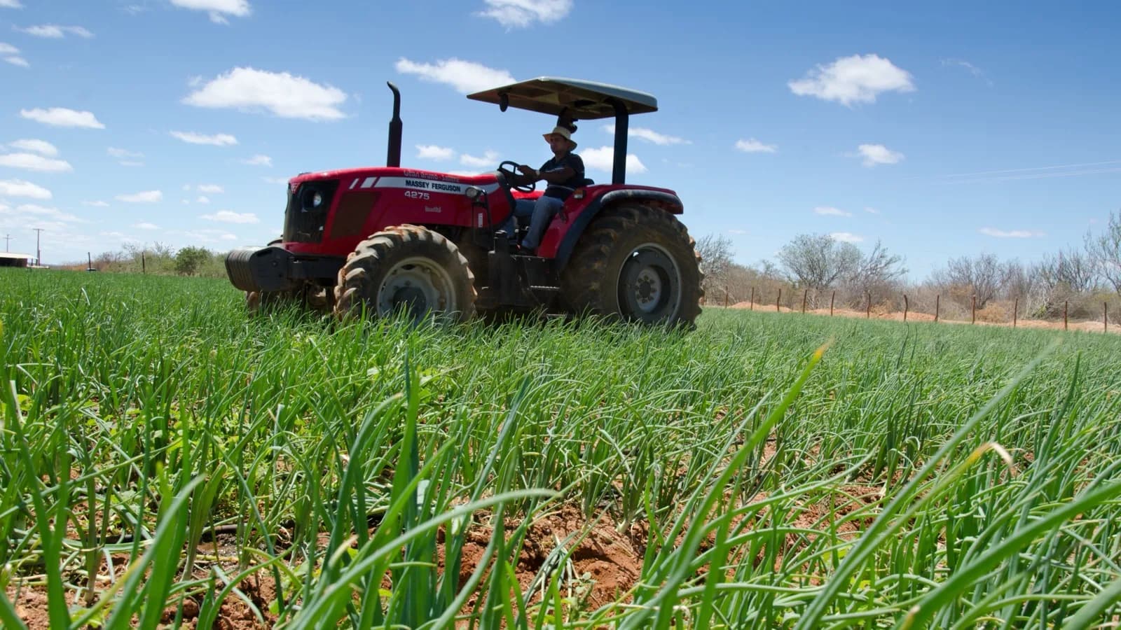 Produtor rural conduz trator em lavoura no Brasil, imagem de arquivo ilustrativa